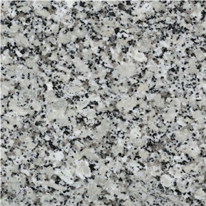 Gris Perla Blanco Granite Slabs & Tiles, Spain Grey Granite
