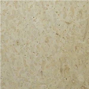 Marbella Shellstone