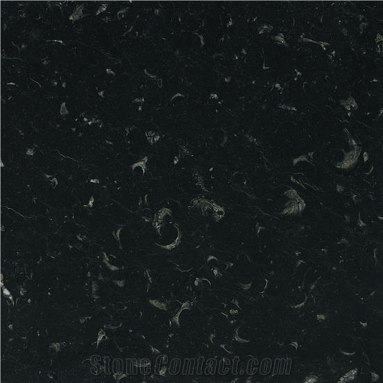 Negro Caracol Marble Slabs & Tiles, Colombia Black Marble