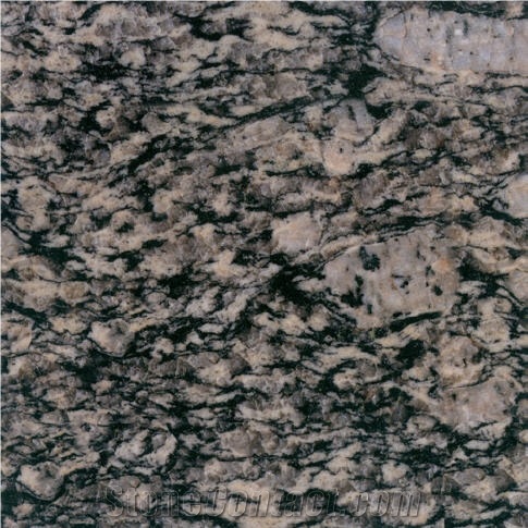 Nummular Brown Grain Granite