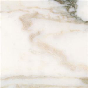 Pietrasanta Oro Marble Slabs & Tiles, Italy White Marble
