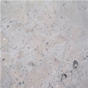 Ruoms Limestone Slabs & Tiles, France Grey Limestone