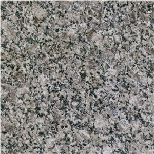 Shandong Royal Grey Granite Slabs & Tiles, China Grey Granite