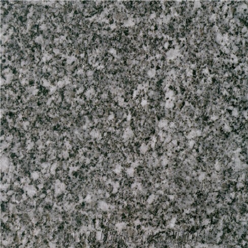 Snow Grain Granite