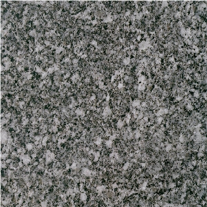 Snow Grain Granite