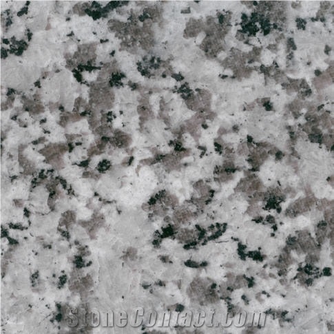 White Jinshan Granite Slabs & Tiles, China White Granite