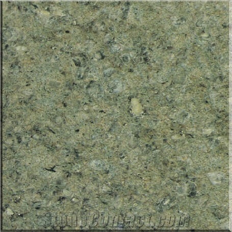 Yuexi Leopard Green Granite