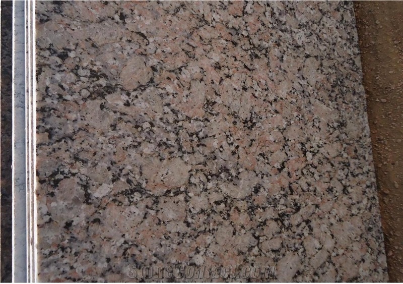 Baltic Rosa Pink Granite Slabs & Tiles