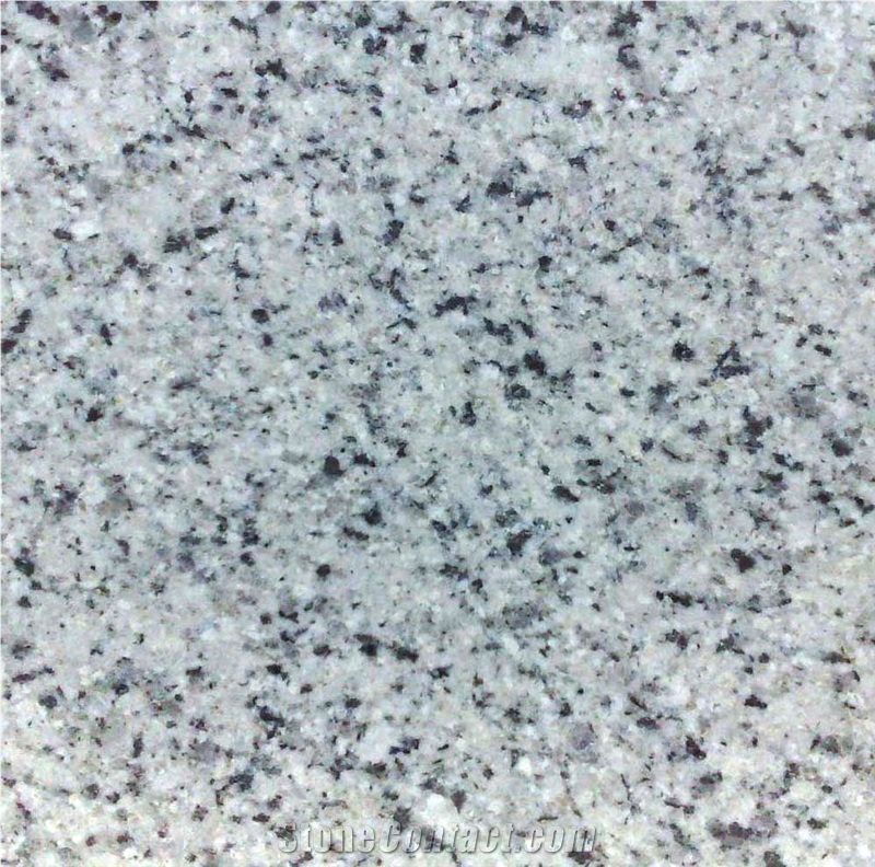 C White Granite Slabs & Tiles, India White Granite
