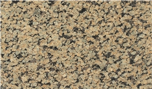 Royal Brown Granite Slabs & Tiles, India Brown Granite