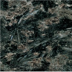 Golden Diamond Shanxi Slabs & Tiles, China Black Granite