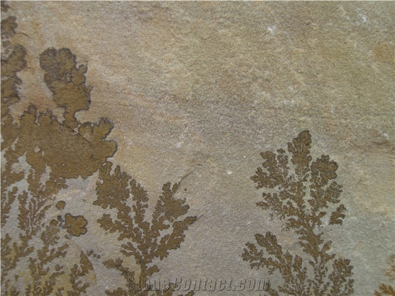 Mint Fossil Sandstone Slabs & Tiles