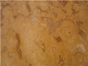 Euromarmol Slabs & Tiles, Mexico Beige, Mexican Coral Stone Beige Shell Stone Tiles
