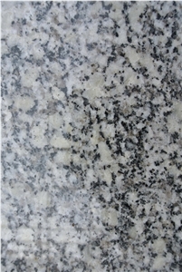 Persian Silver Grain Granite Slabs, Tiles