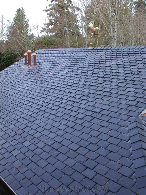 Natural Black Roofing Slate,Black Roof Tiles Covering