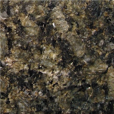 Butterfly Green Granite Slabs & Tiles, China Green Granite