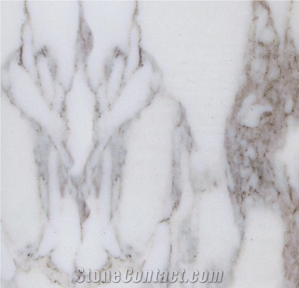 Arabescato Corchia Slabs & Tiles, Italy White Marble