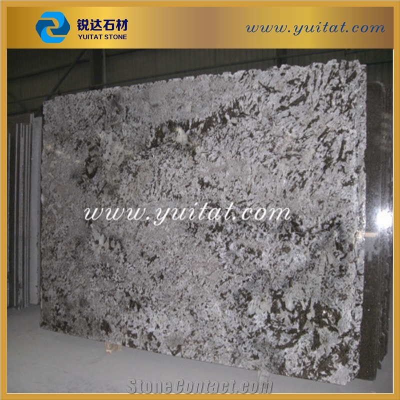 Quarry Owner Wholesale Cheap Price Bianco Antico Grey Granite Slabs & Tiles
