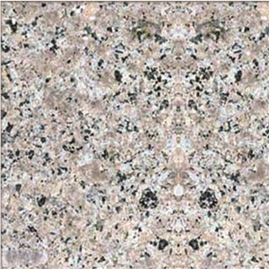 Bahareh Zanjan Granite Slabs & Tiles