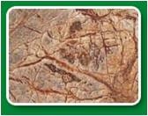 Rainforest Brown (Antique) Slabs & Tiles