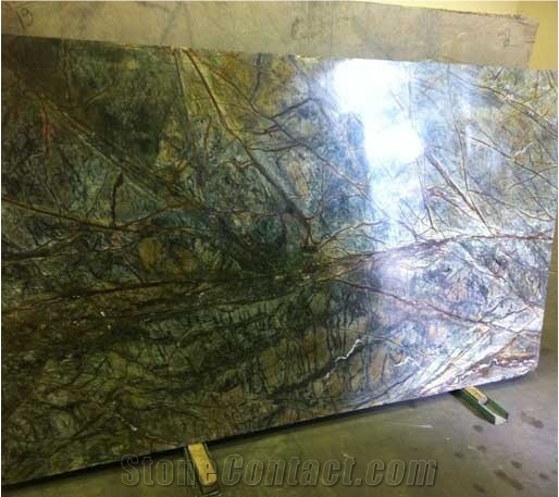 Rain Forest Green Marble 2cm Slabs, India Green Marble