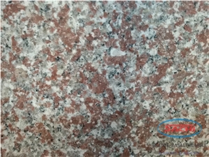 Granite Sc G218 Slabs & Tiles