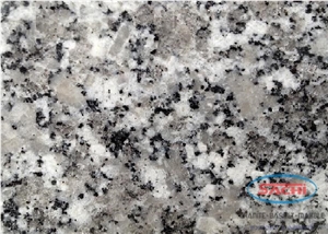 Granite Sc G442 Slabs & Tiles, Vietnam Granite Slabs & Tiles