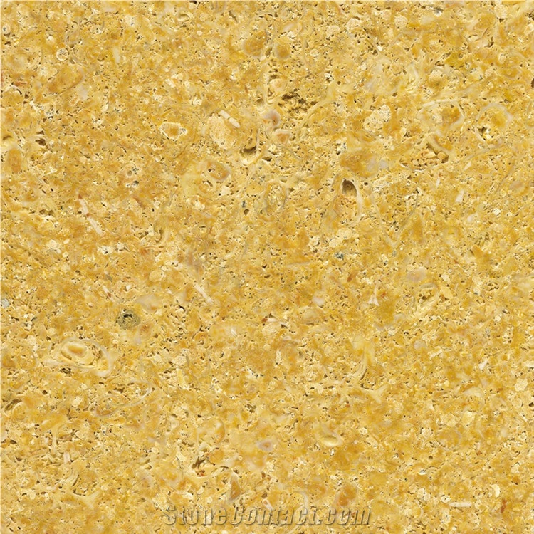 Amarillo Fosil Limestone Tiles, Slabs