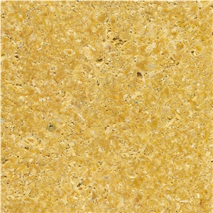 Amarillo Fosil Limestone Tiles, Slabs