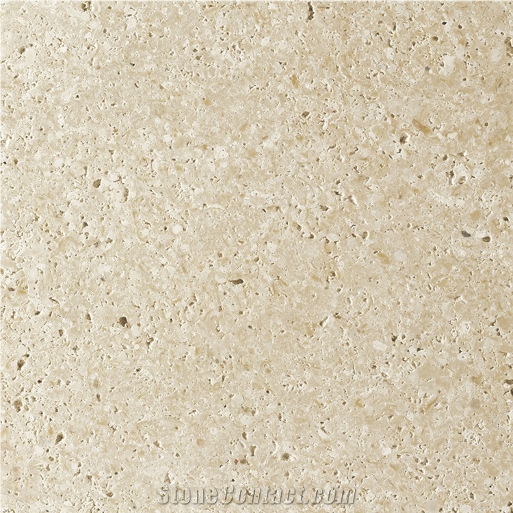 Blanco Fossil Limestone Tiles, Spain White Limestone