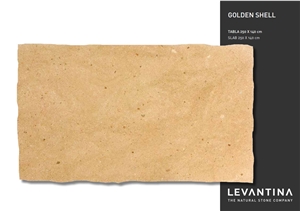 Golden Shell Sandstone Tiles, Golden Shell Sandstone Slabs