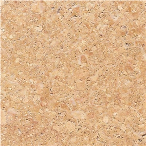 Golden Shell Sandstone Tiles, Golden Shell Sandstone Slabs