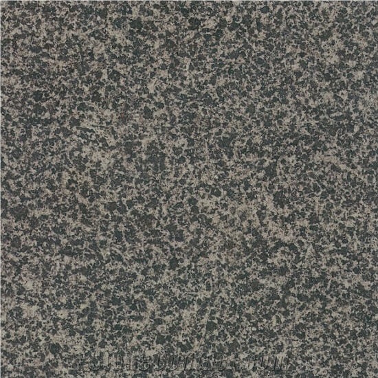 Black Blue Star Granite Slabs & Tiles, China Black Granite