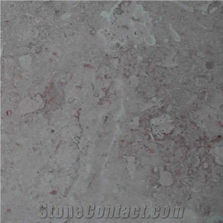 Brown Coral Stone Limestone Slabs & Tiles