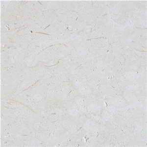 Caliza Bianco Limestone