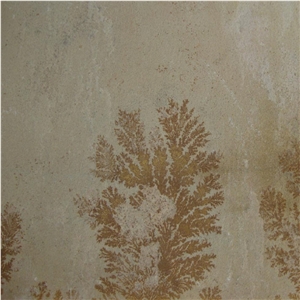 Fossil Mint Sandstone