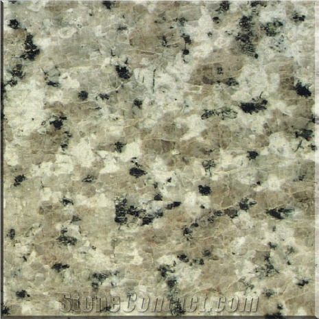 Gastrodia White Granite