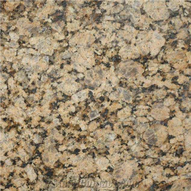 Giallo Vicenza Granite from China 262301 StoneContact com
