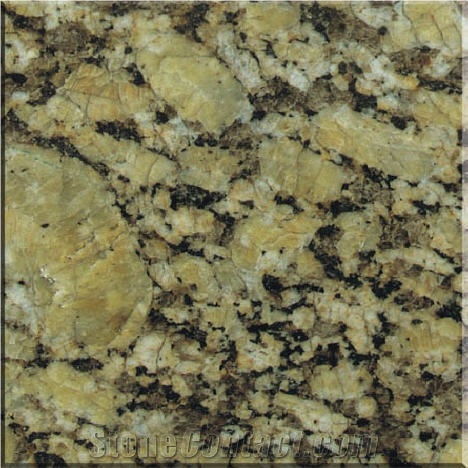 Golden Autumn Grain Granite