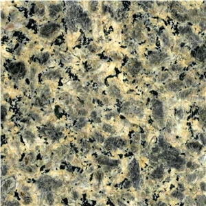 Leopard Skin Granite