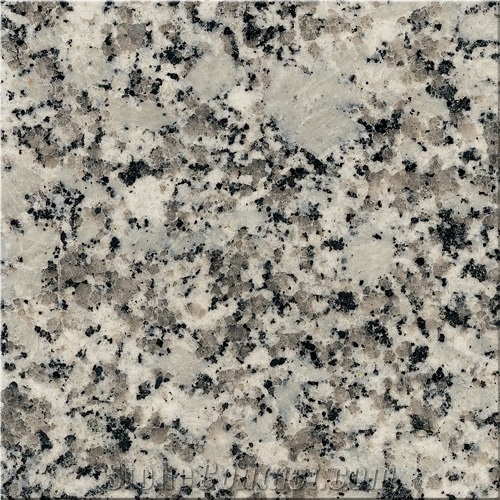 Pearling White Granite