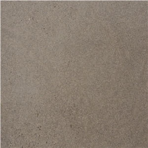 Purple Wooden Sandstone