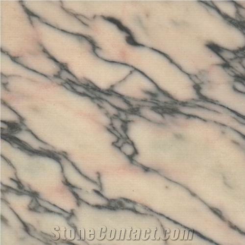 Rosa Lagoa Venado Marble