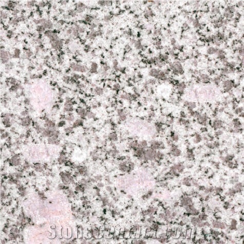 Sanmen Snow Flake Granite