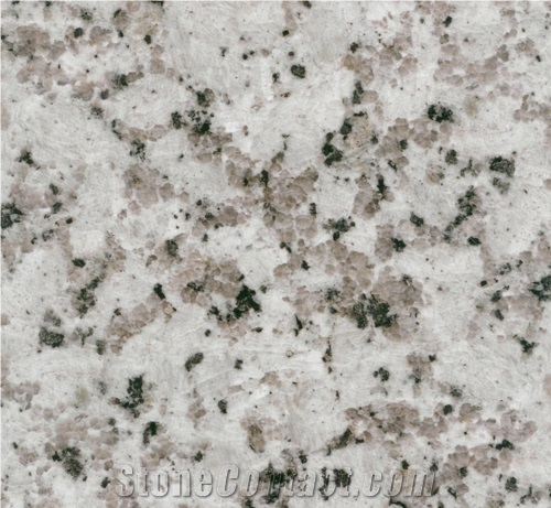 Yulan White Granite Slabs & Tiles, China White Granite