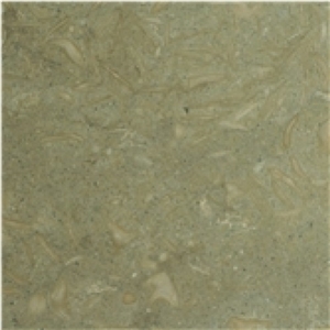 Seagrass Limestone Polished 12x12 Tiles