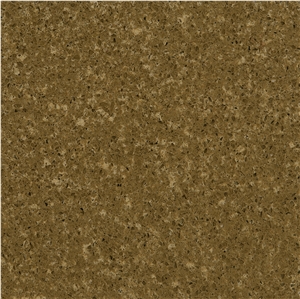 Brown Palm Leaf Quartzite Slabs & Tiles, China Brown Quartzite for Walling, Flooring, Countertop