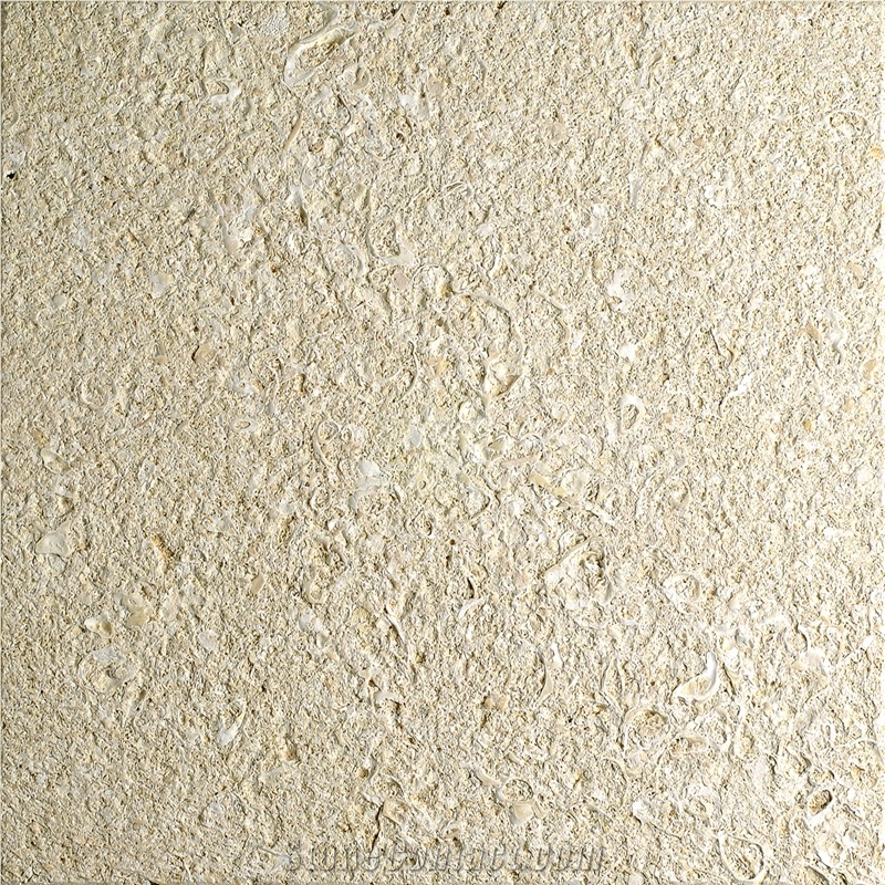 Amarillo Fosil - Yellow Fossil Limestone Slabs & Tiles
