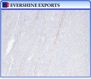 Silky White Marble Slabs & Tiles, India White Marble
