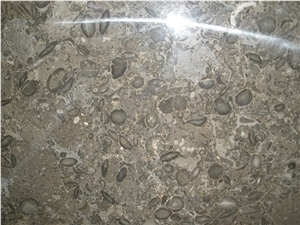 Oceanic Grey Marble Slabs, Pakistan Grey Marble